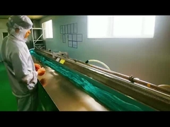 Ryles Tubes production process