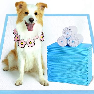 Le chien jetable d'hôpital de toile d'épargnants capitonne 45*50cm Underpad jetable