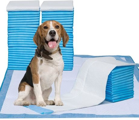 couche-culotte imperméable de chiot de 45*50cm formant l'urine jetable Pee For Dog Padding d'animal familier